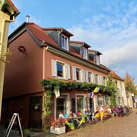Gruene Pause Apartment Freinsheim Exterior photo